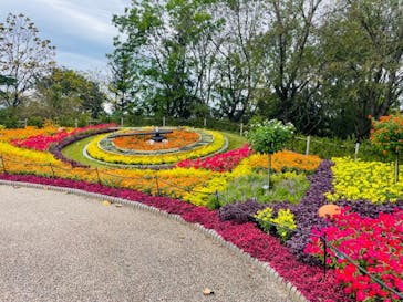 安城産業文化公園デンパークに投稿された画像（2021/10/17）