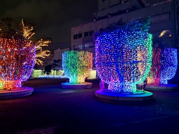 東京メガイルミに投稿された画像（2021/10/17）