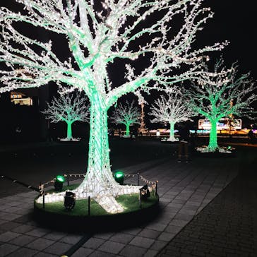 東京メガイルミに投稿された画像（2021/10/17）
