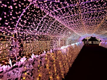 東京メガイルミに投稿された画像（2021/10/17）