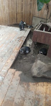 ゼロ距離水族館 伊勢シーパラダイスに投稿された画像（2021/10/17）