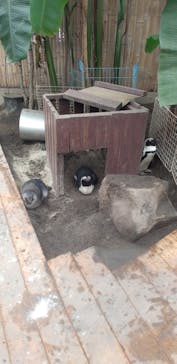 ゼロ距離水族館 伊勢シーパラダイスに投稿された画像（2021/10/17）