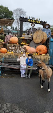 まかいの牧場に投稿された画像（2021/10/17）