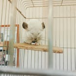 Moff animal world BIGHOPガーデンモール印西店に投稿された画像（2021/10/18）