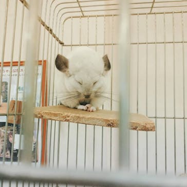 Moff animal world BIGHOPガーデンモール印西店に投稿された画像（2021/10/17）