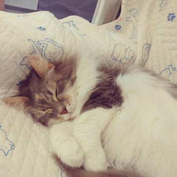 Moff animal world BIGHOPガーデンモール印西店に投稿された画像（2021/10/17）