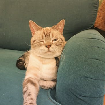 Moff animal world BIGHOPガーデンモール印西店に投稿された画像（2021/10/17）