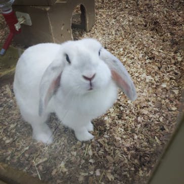 Moff animal world BIGHOPガーデンモール印西店に投稿された画像（2021/10/17）