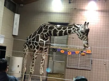 天王寺動物園に投稿された画像（2021/10/18）