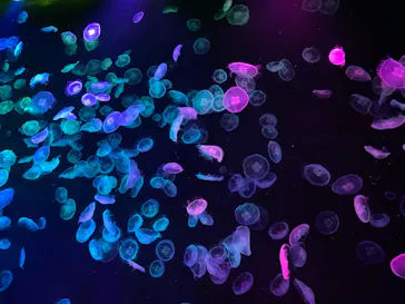 すみだ水族館に投稿された画像（2021/10/18）