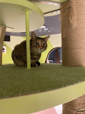 Moff animal world MARK IS みなとみらい店に投稿された画像（2021/10/18）