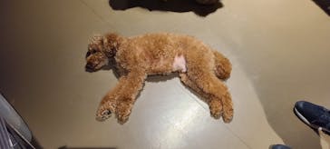 Moff animal world MARK IS みなとみらい店に投稿された画像（2021/10/18）