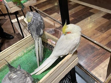 Moff animal world MARK IS みなとみらい店に投稿された画像（2021/10/18）