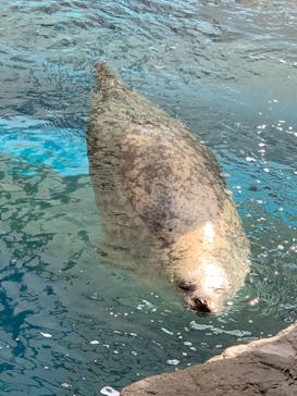 京都水族館に投稿された画像（2021/10/18）
