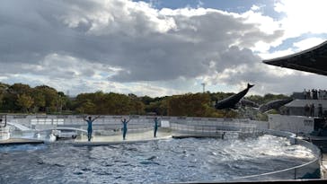 京都水族館に投稿された画像（2021/10/18）