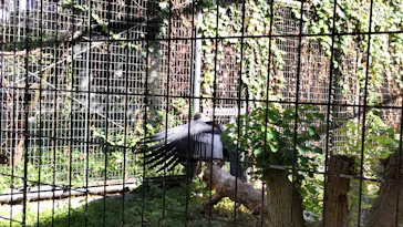 天王寺動物園に投稿された画像（2021/10/18）