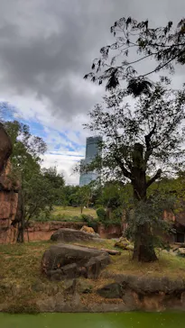 天王寺動物園に投稿された画像（2021/10/18）