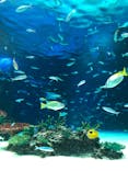 サンシャイン水族館に投稿された画像（2021/10/18）