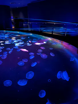 すみだ水族館に投稿された画像（2021/10/18）