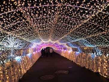 東京メガイルミに投稿された画像（2021/10/18）