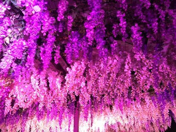 東京メガイルミに投稿された画像（2021/10/18）