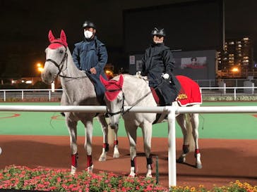 東京メガイルミに投稿された画像（2021/10/18）