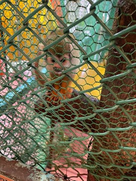 那須ワールドモンキーパークに投稿された画像（2021/10/18）