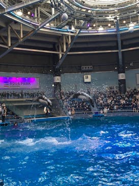 マクセル アクアパーク品川に投稿された画像（2021/10/18）