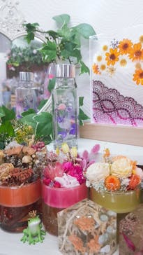 ずこうしつ〜sugamo〜に投稿された画像（2021/10/18）