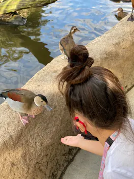 神戸どうぶつ王国に投稿された画像（2021/10/18）