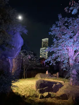 天王寺動物園に投稿された画像（2021/10/18）