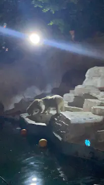 天王寺動物園に投稿された画像（2021/10/18）