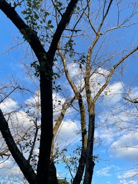 西武園ゆうえんちに投稿された画像（2021/10/18）