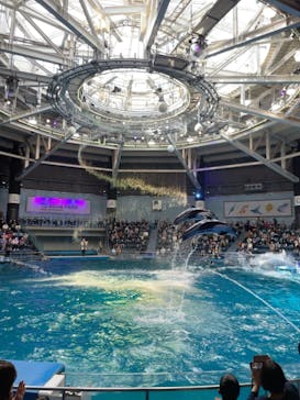 マクセル アクアパーク品川に投稿された画像（2021/10/18）