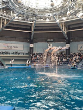 マクセル アクアパーク品川に投稿された画像（2021/10/18）