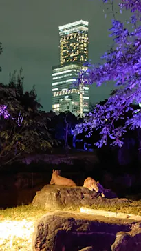 天王寺動物園に投稿された画像（2021/10/18）