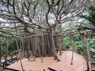 アスムイハイクスに投稿された画像（2021/10/18）