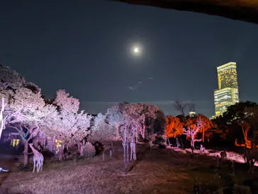 天王寺動物園に投稿された画像（2021/10/18）