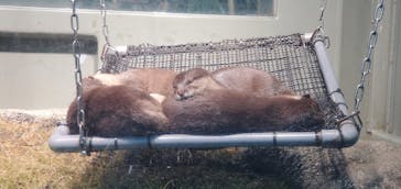 サンシャイン水族館に投稿された画像（2021/10/18）