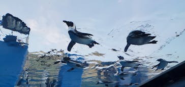 サンシャイン水族館に投稿された画像（2021/10/18）