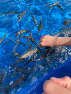 大分マリーンパレス水族館 「うみたまご」に投稿された画像（2021/10/18）