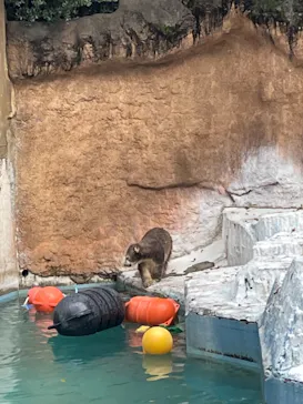 天王寺動物園に投稿された画像（2021/10/18）