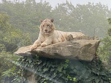 群馬サファリパークに投稿された画像（2021/10/18）