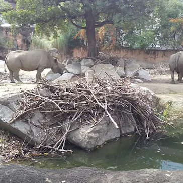 天王寺動物園に投稿された画像（2021/10/18）