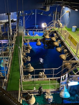 アクアワールド茨城県大洗水族館に投稿された画像（2021/10/18）