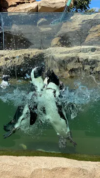 神戸どうぶつ王国に投稿された画像（2021/10/18）