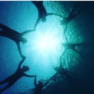 屋久島ガイドクラブに投稿された画像（2021/10/18）