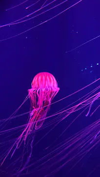 すみだ水族館に投稿された画像（2021/10/19）