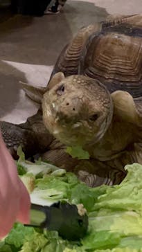 Moff animal world MARK IS みなとみらい店に投稿された画像（2021/10/19）