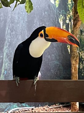 Moff animal world MARK IS みなとみらい店に投稿された画像（2021/10/19）